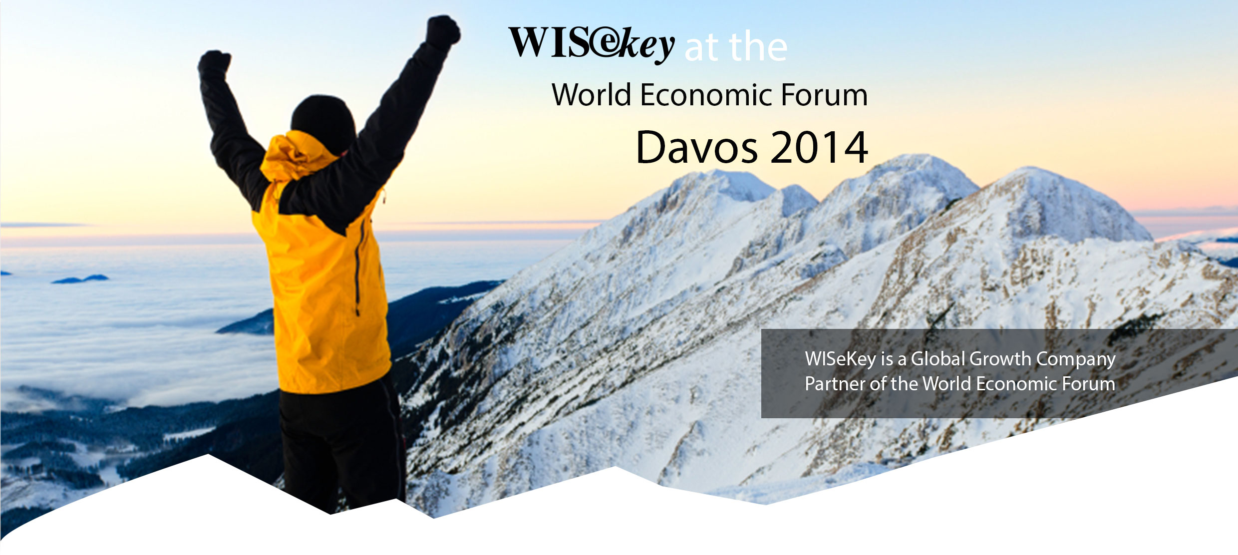 WEF Davos 2014 Round table